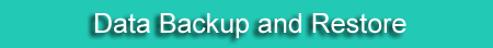 Data backup and recovery services - RPM INFOVISION&trade;