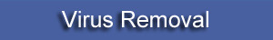 Virus removal service - RPM INFOVISION&trade;